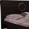Homeroots 65 x 87 x 40 in. Modern Queen Wenge High Gloss Bed 343939 - alternate 3